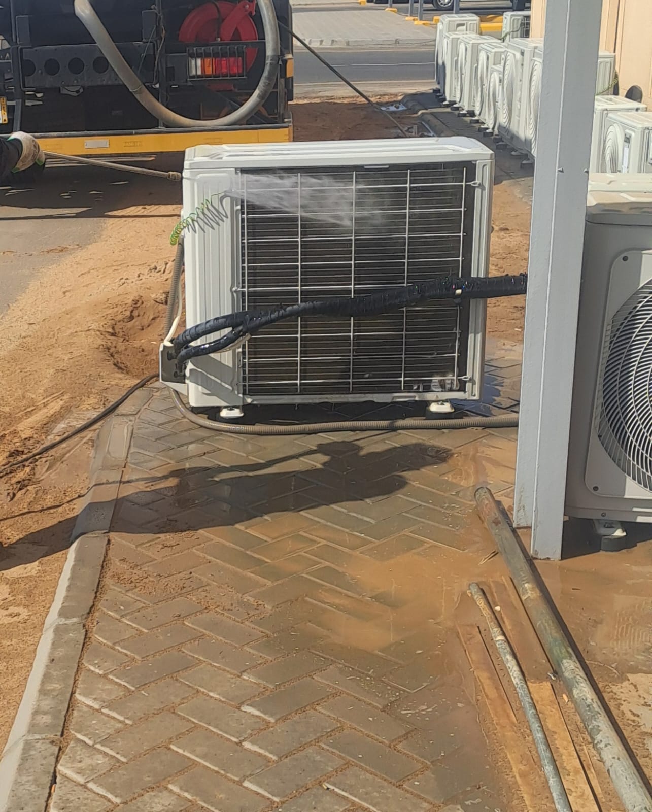 Novaroots Project 17